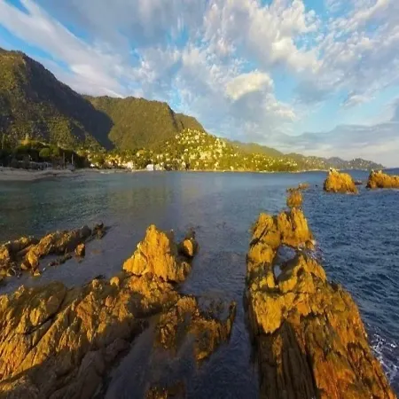Souleyado 1 * Le Lavandou